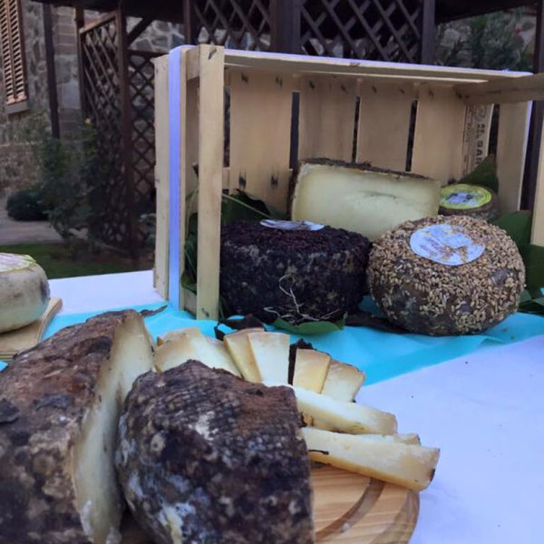 attività-cerimonie29