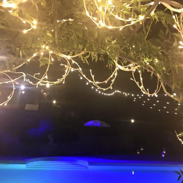 attività-cerimonie31