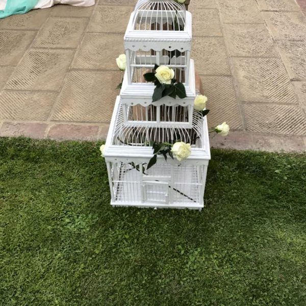 attività-cerimonie36